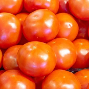 TOMATO