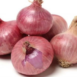 ONION