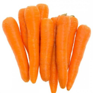 CARROT