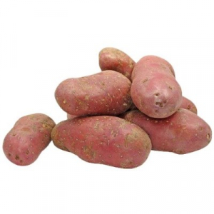SWEET POTATO