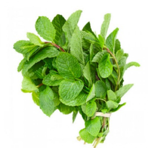 MINT LEAVES