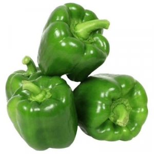 CAPSICUM GREEN